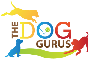 The Dog Gurus Logo