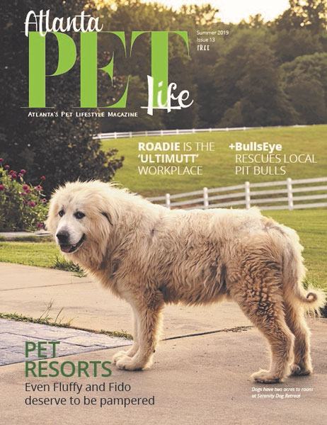 Atlanta Pet Life Summer 2019 September Cover