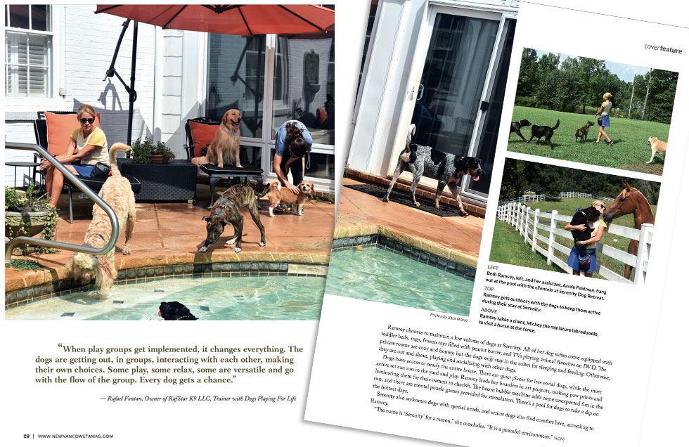 Newnan Coweta Magazine article spotlighting Serenity Dog Retreat with photos of our pool and property.