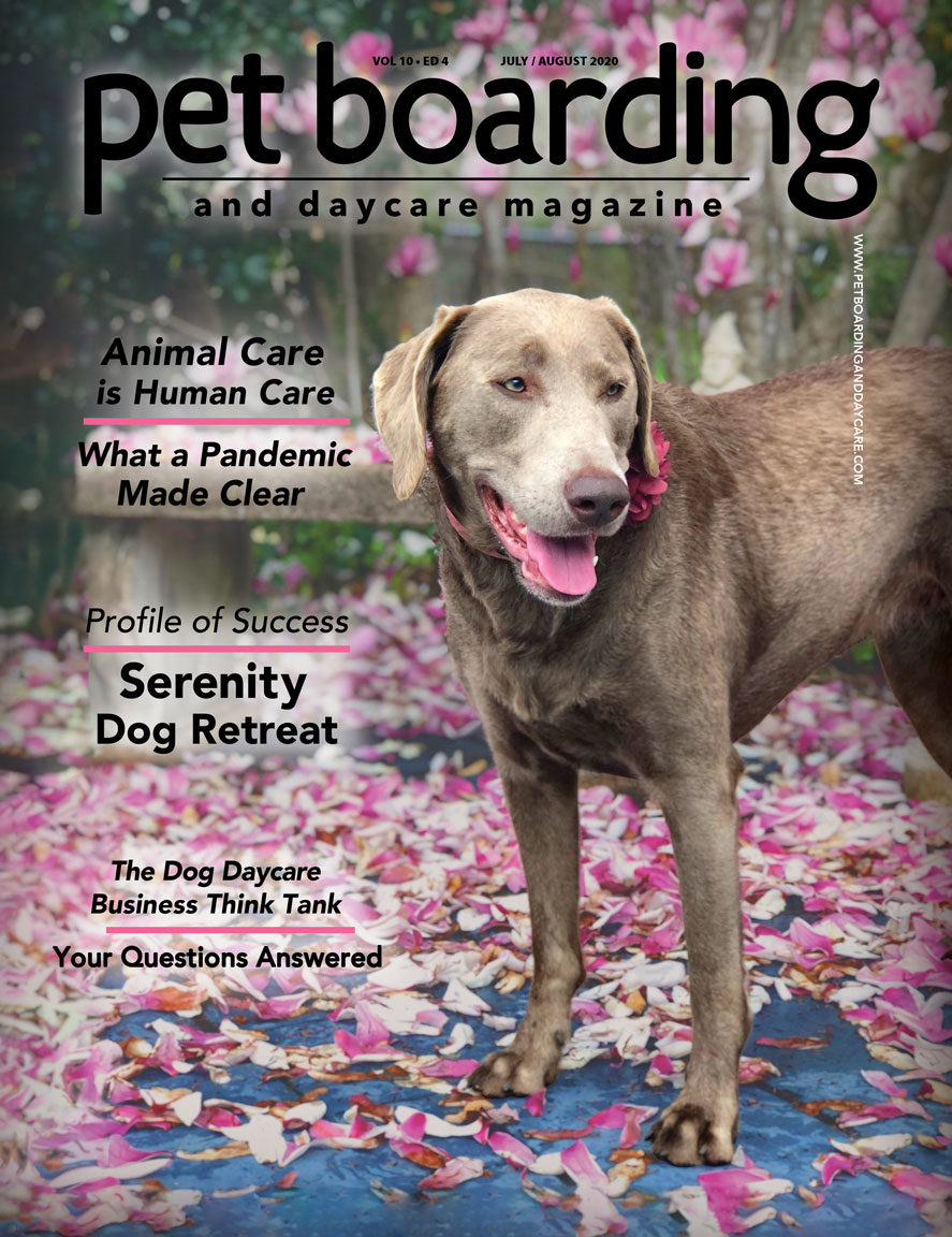 Pet Boarding and Daycare Magazine Cover July August Chocolate Lab under pink magnolia tree